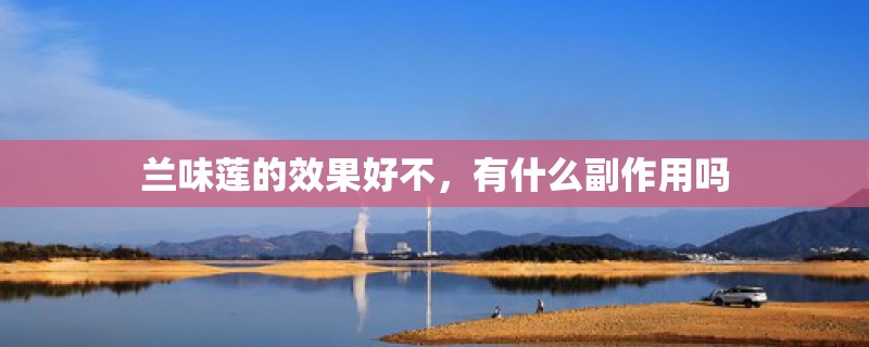 兰味莲的效果好不，有什么副作用吗