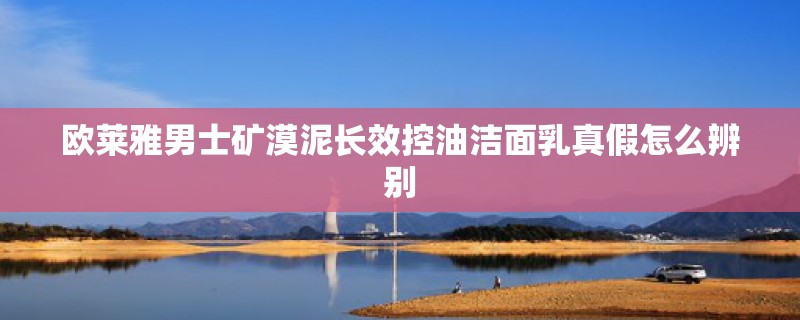 欧莱雅男士矿漠泥长效控油洁面乳真假怎么辨别
