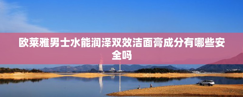 欧莱雅男士水能润泽双效洁面膏成分有哪些安全吗