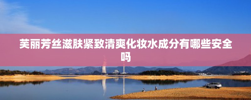 芙丽芳丝滋肤紧致清爽化妆水成分有哪些安全吗