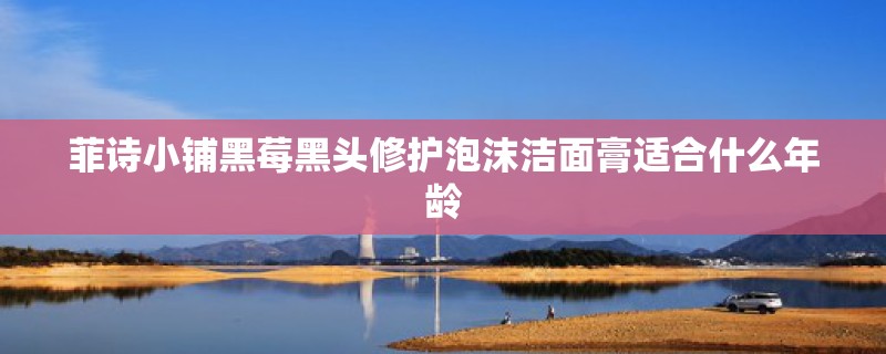 菲诗小铺黑莓黑头修护泡沫洁面膏适合什么年龄