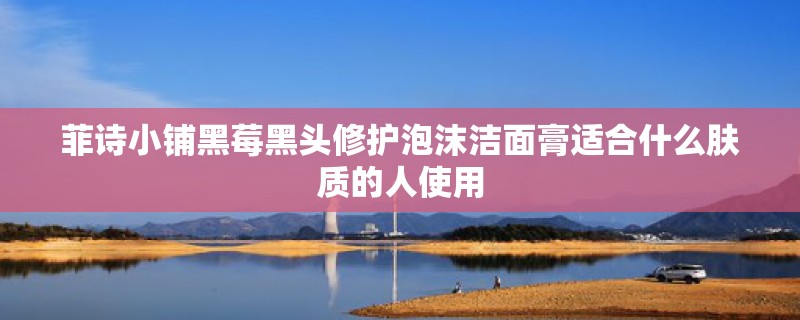 菲诗小铺黑莓黑头修护泡沫洁面膏适合什么肤质的人使用