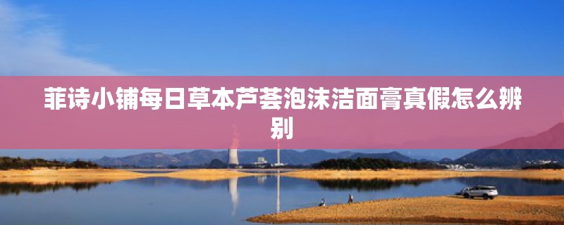 菲诗小铺每日草本芦荟泡沫洁面膏真假怎么辨别