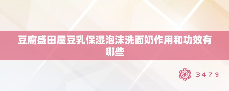豆腐盛田屋豆乳保湿泡沫洗面奶作用和功效有哪些