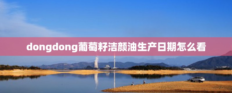 dongdong葡萄籽洁颜油生产日期怎么看