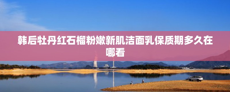 韩后牡丹红石榴粉嫩新肌洁面乳保质期多久在哪看