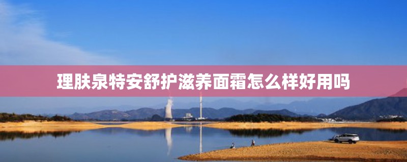 理肤泉特安舒护滋养面霜怎么样好用吗