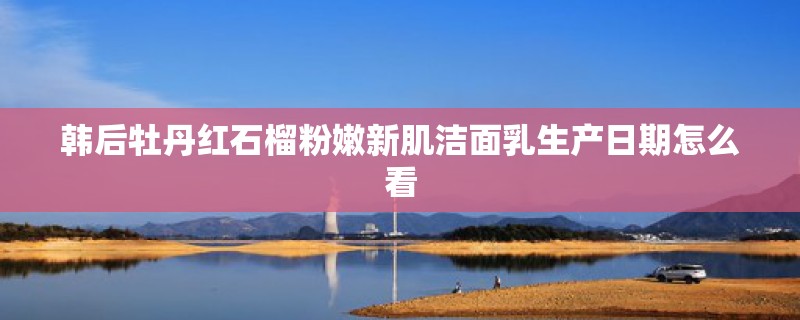 韩后牡丹红石榴粉嫩新肌洁面乳生产日期怎么看