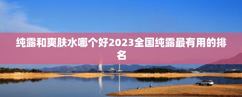 纯露和爽肤水哪个好2023全国纯露最有用的排名