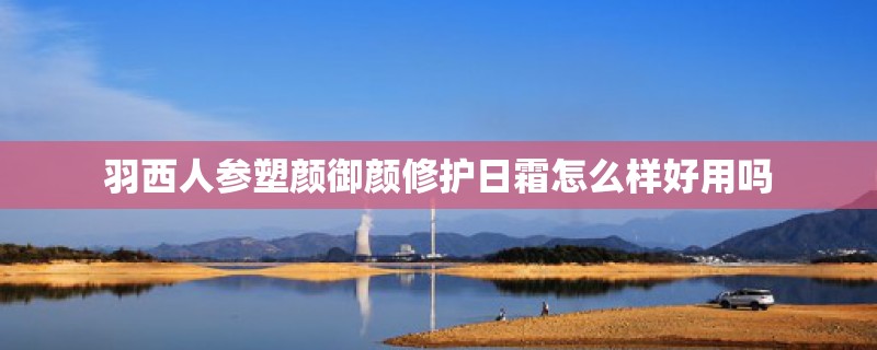 羽西人参塑颜御颜修护日霜怎么样好用吗