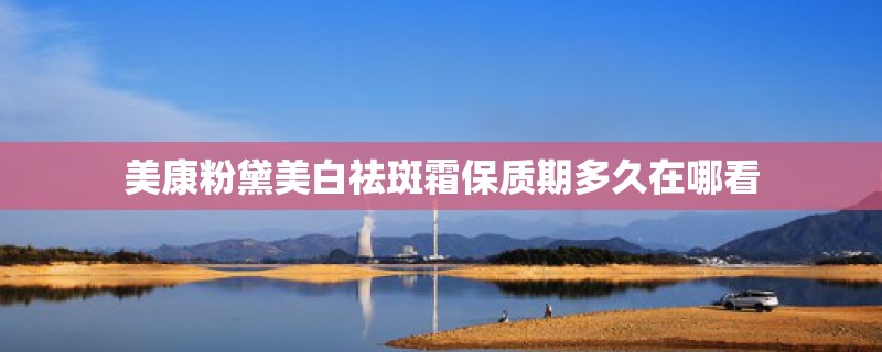 美康粉黛美白祛斑霜保质期多久在哪看