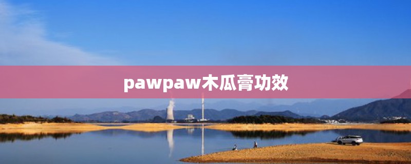 pawpaw木瓜膏功效 pawpaw木瓜膏功效