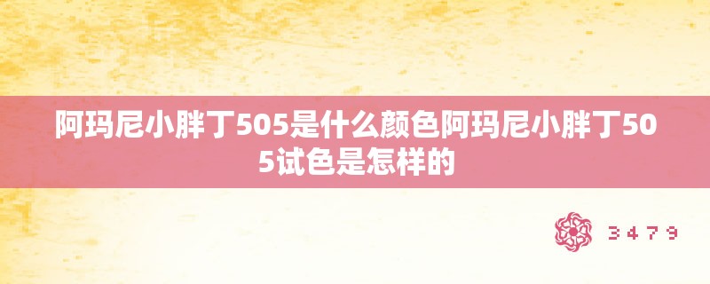 阿玛尼小胖丁505是什么颜色阿玛尼小胖丁505试色是怎样的