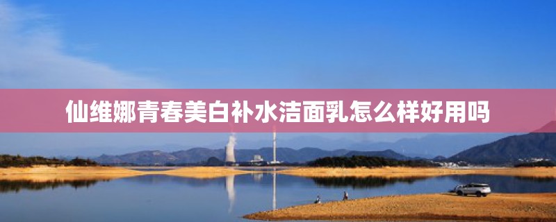 仙维娜青春美白补水洁面乳怎么样好用吗