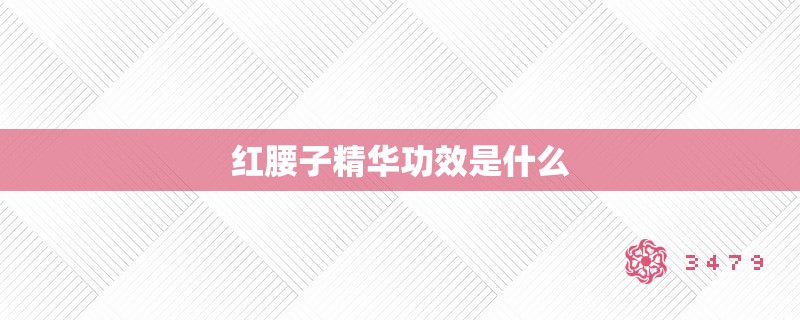 红腰子精华功效是什么