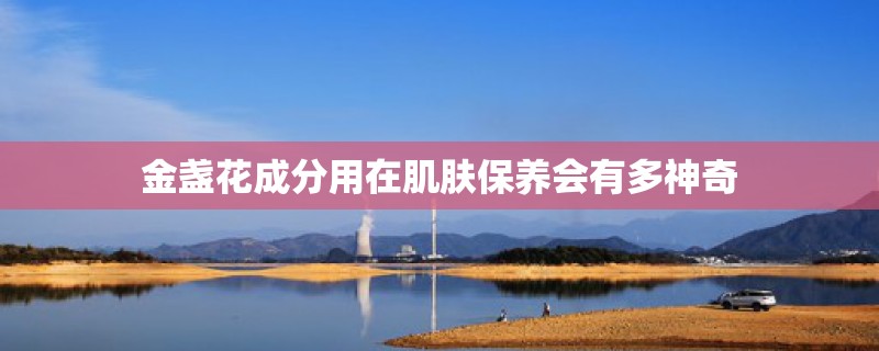 金盏花成分用在肌肤保养会有多神奇 金盏花成分用在肌肤保养会有多神奇