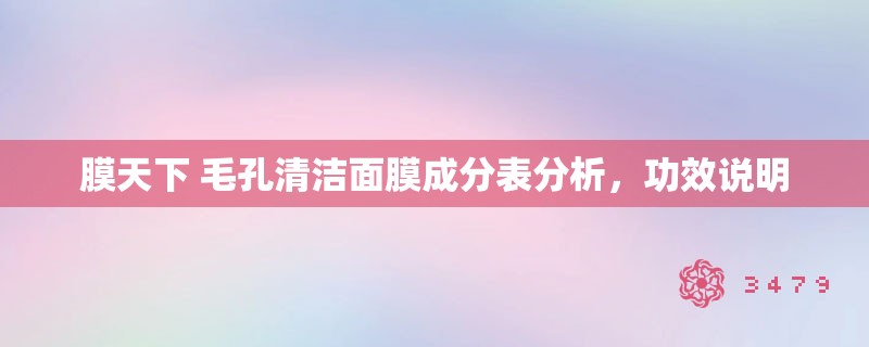 膜天下 毛孔清洁面膜成分表分析，功效说明