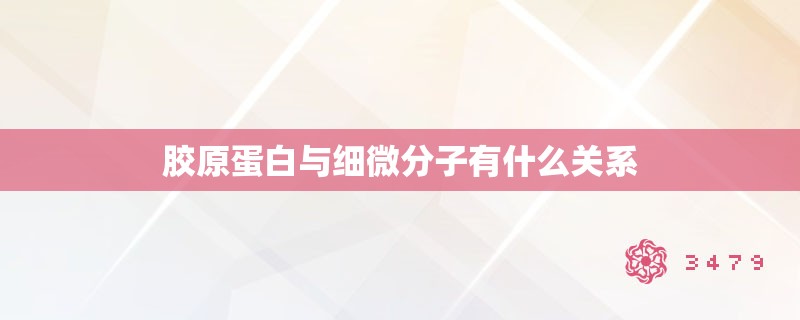 胶原蛋白与细微分子有什么关系 胶原蛋白与细微分子有什么关系