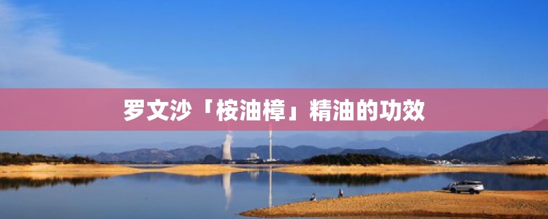 罗文沙「桉油樟」精油的功效 罗文沙「桉油樟」精油的功效