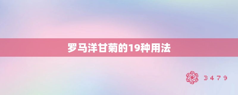 罗马洋甘菊的19种用法