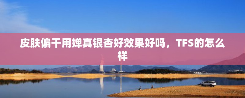 皮肤偏干用婵真银杏好效果好吗,TFS的怎么样 皮肤偏干用婵真银杏好效果好吗,TFS的怎么样