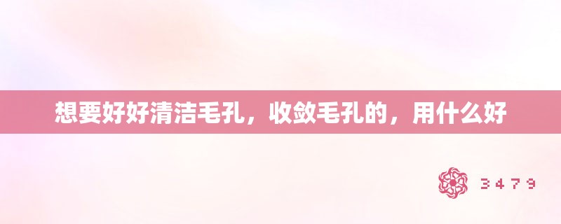 想要好好清洁毛孔,收敛毛孔的,用什么好 想要好好清洁毛孔,收敛毛孔的,用什么好