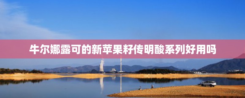 牛尔娜露可的新苹果籽传明酸系列好用吗
