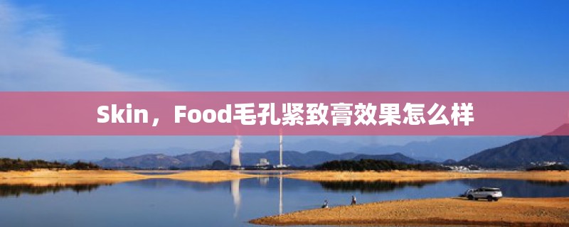 Skin，Food毛孔紧致膏效果怎么样