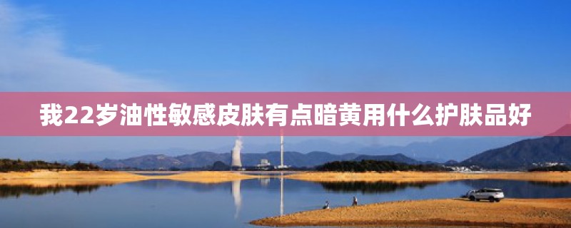 我22岁油性敏感皮肤有点暗黄用什么护肤品好