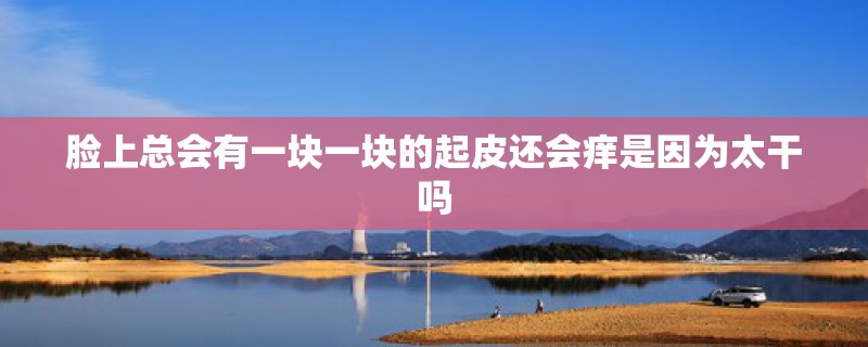 脸上总会有一块一块的起皮还会痒是因为太干吗 脸上总会有一块一块的起皮还会痒是因为太干吗