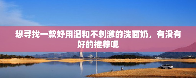 想寻找一款好用温和不**的洗面奶，有没有好的推荐呢
