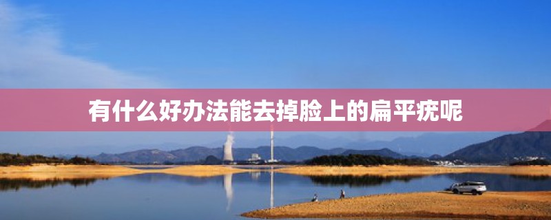 有什么好办法能去掉脸上的扁平疣呢