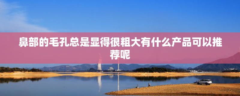 鼻部的毛孔总是显得很粗大有什么产品可以推荐呢