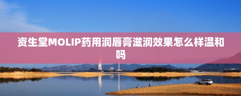 资生堂MOLIP药用润唇膏滋润效果怎么样温和吗 资生堂MOLIP药用润唇膏滋润效果怎么样温和吗
