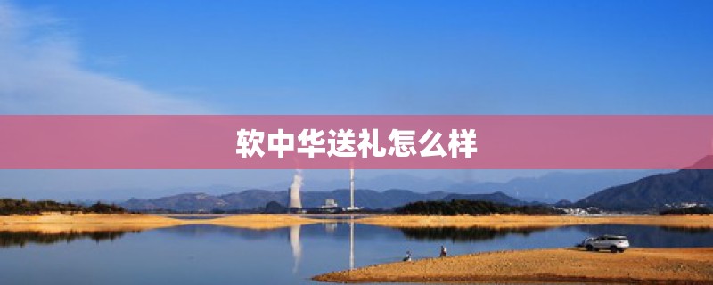 软中华送礼怎么样